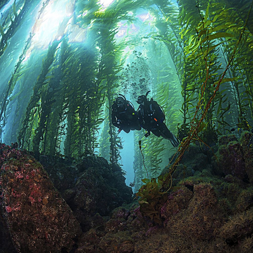 Diver getting help from shop staff