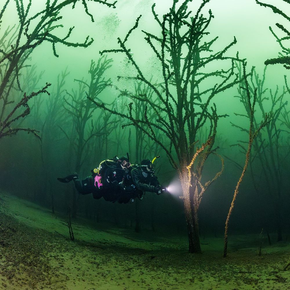 Beginner diver starting training in Michigan