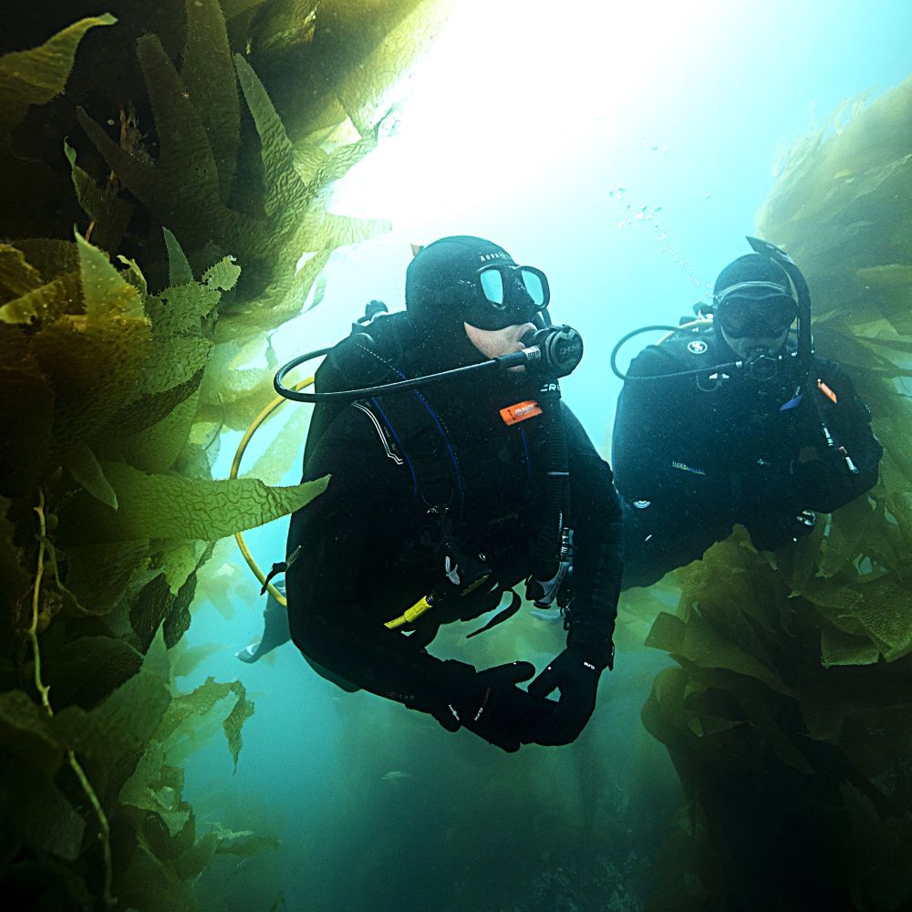 New diver beginning scuba certification in Michigan