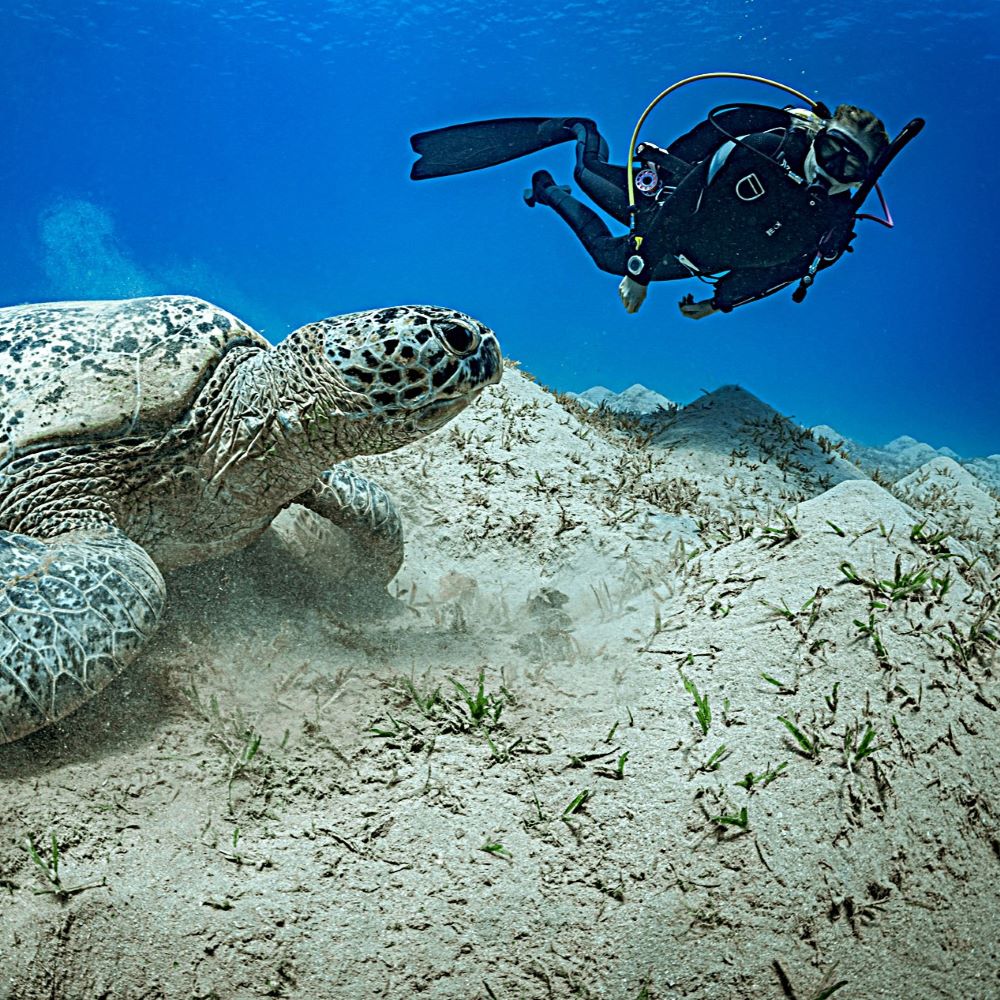 Diver getting personalized advice from a local shop